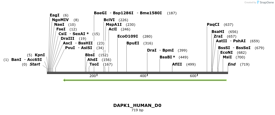 156454_map