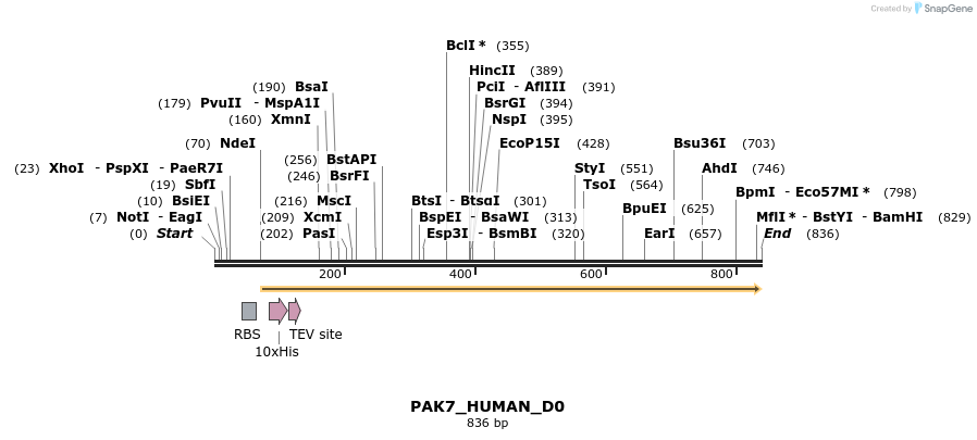 156455_map