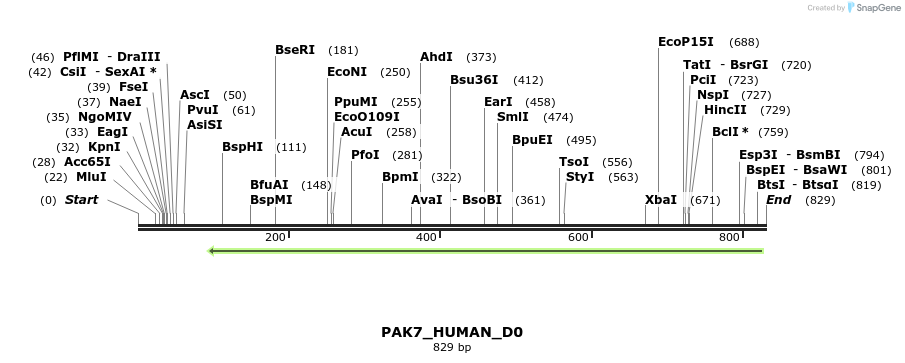 156456_map