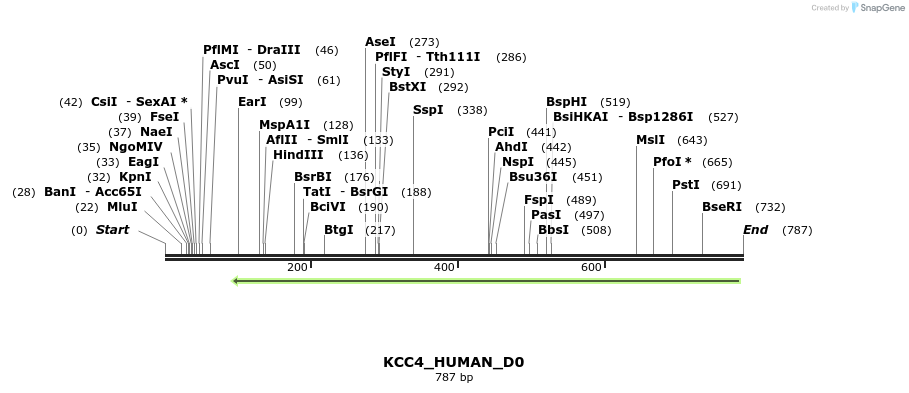 156460_map