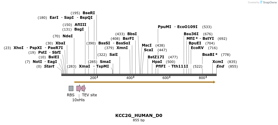 156462_map