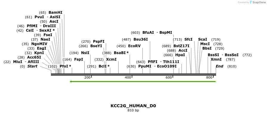156463_map