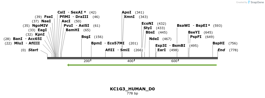 156465_map