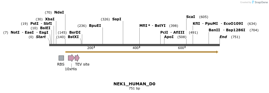156468_map