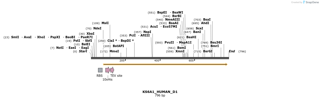156473_map