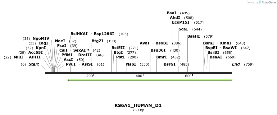 156474_map