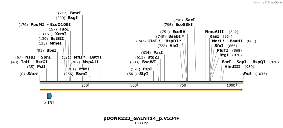 156476_map