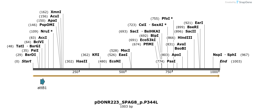 156480_map