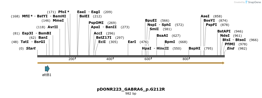 156482_map