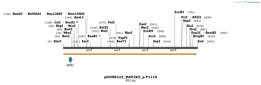 156487_map