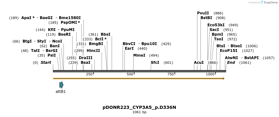 156488_map