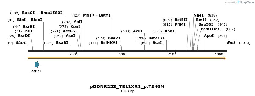 156491_map