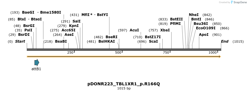 156492_map