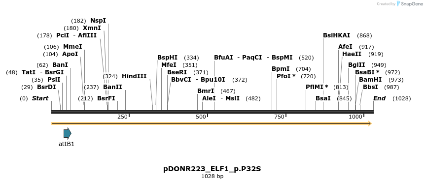 156493_map