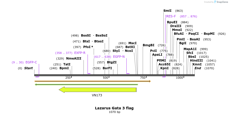 156499_map