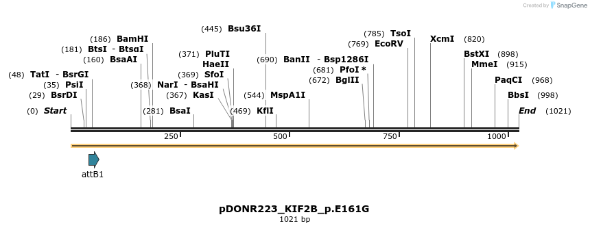 156501_map