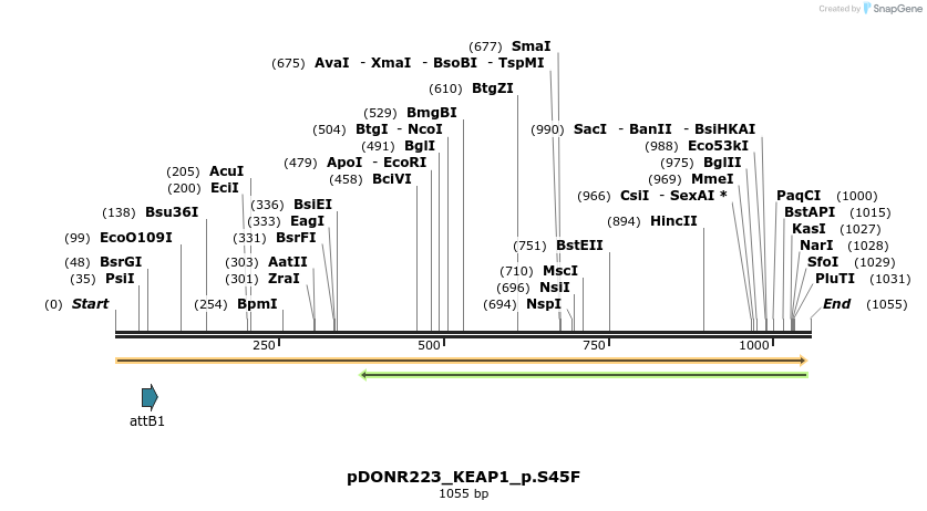 156512_map
