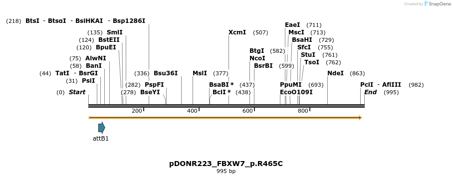 156517_map