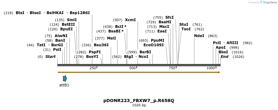 156518_map