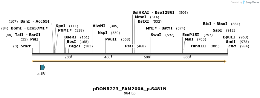 156522_map