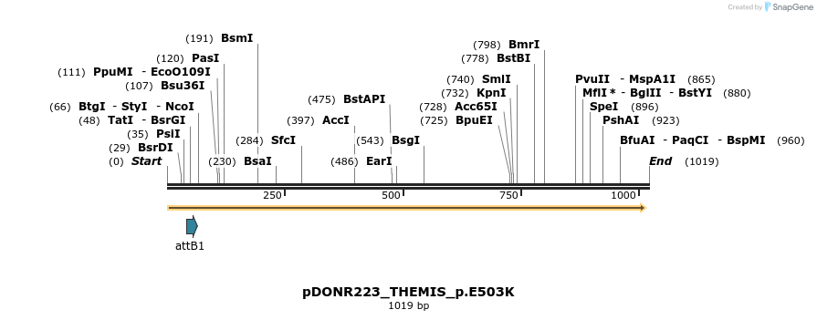 156524_map