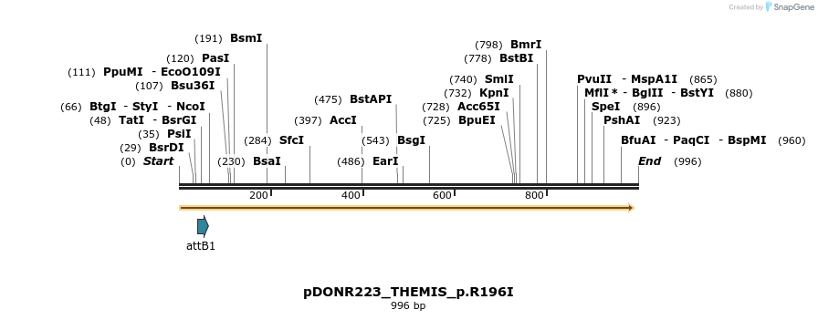 156527_map