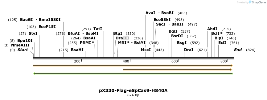 156533_map