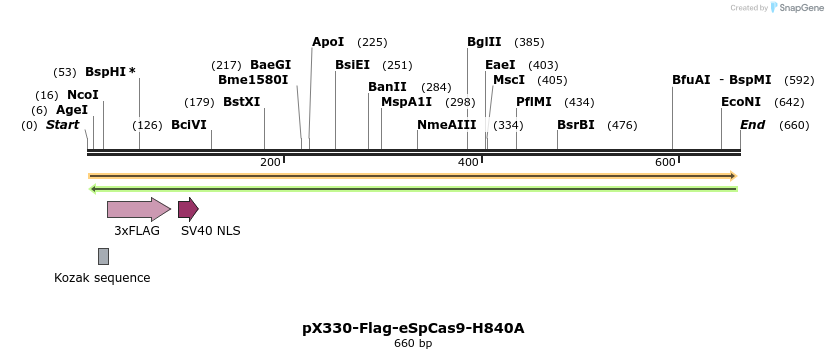 156535_map