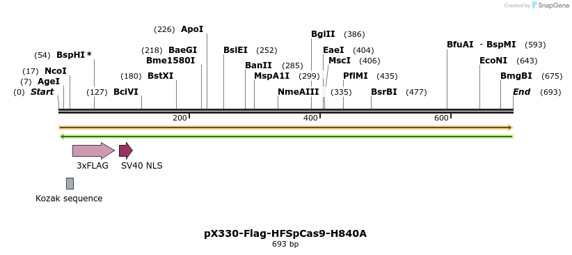 156537_map