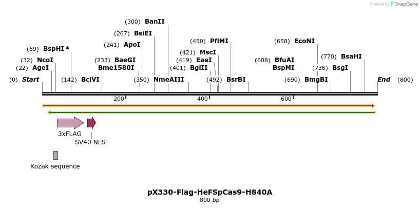 156539_map