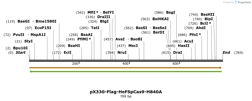 156540_map
