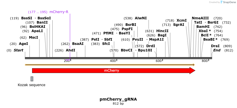 156542_map