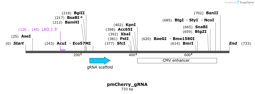 156543_map