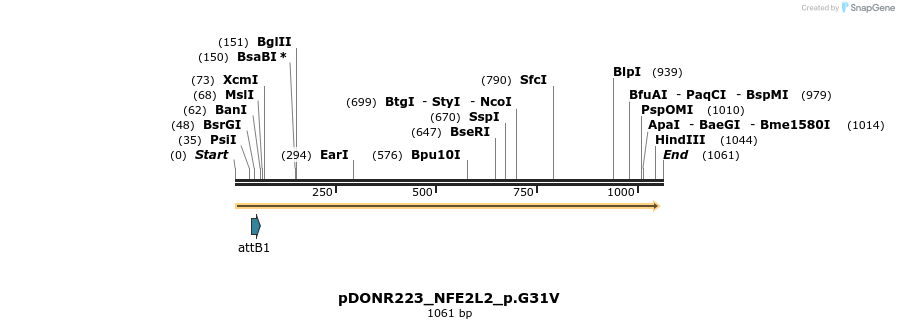 156550_map
