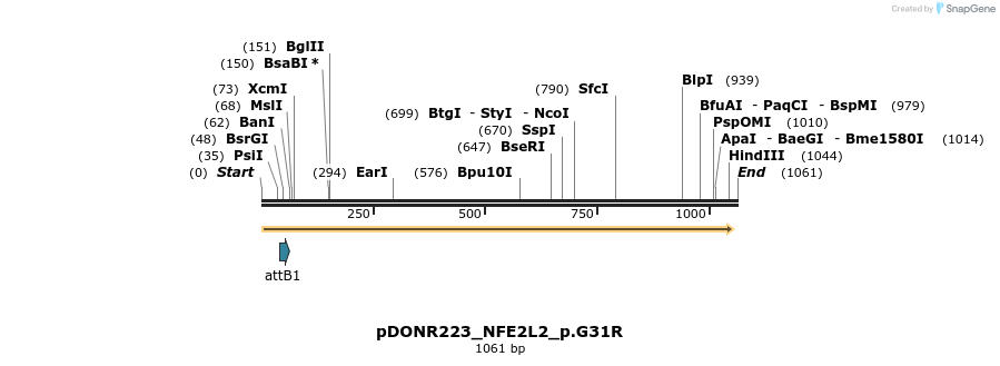 156551_map