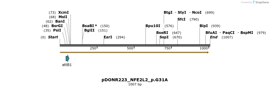 156554_map