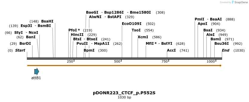 156556_map