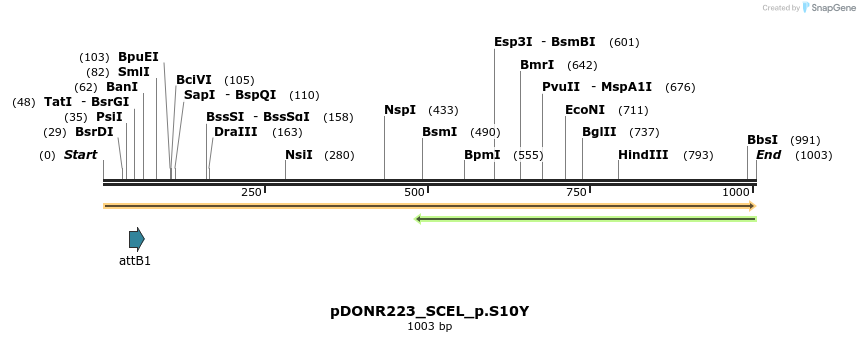 156560_map