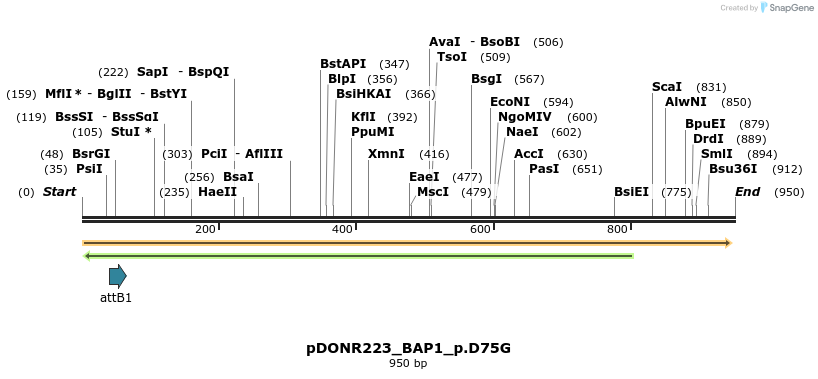 156563_map