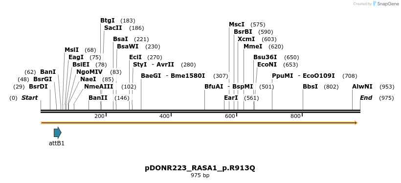 156565_map