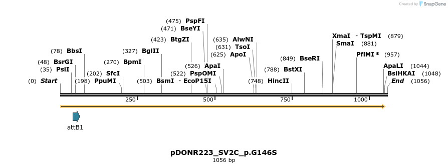 156580_map
