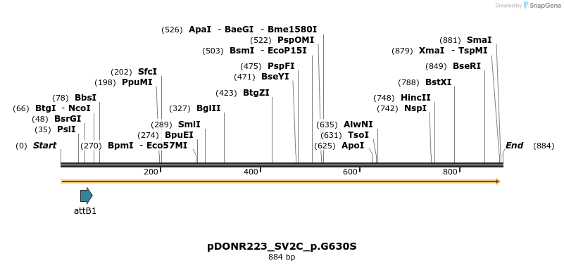 156581_map