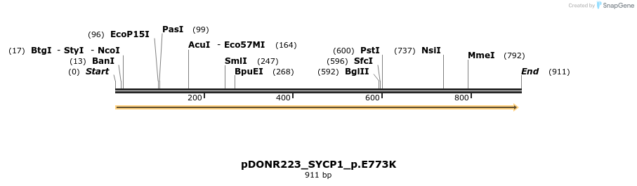 156584_map