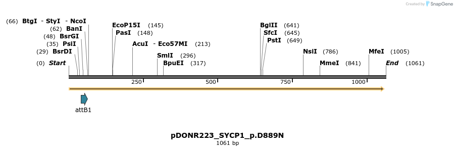 156585_map