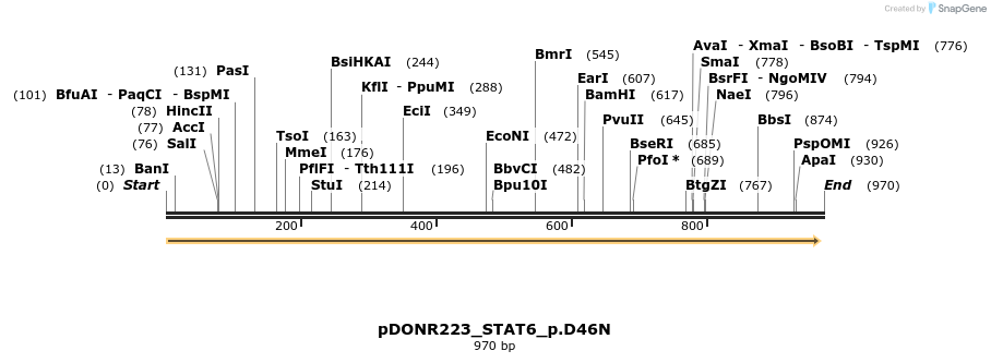 156586_map