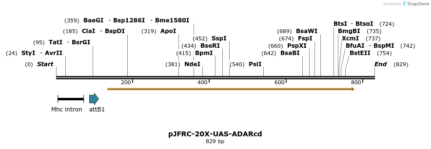 156591_map