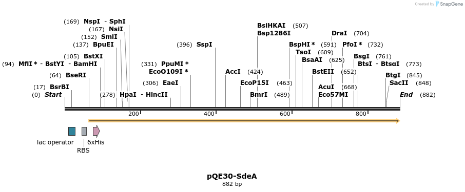 156602_map