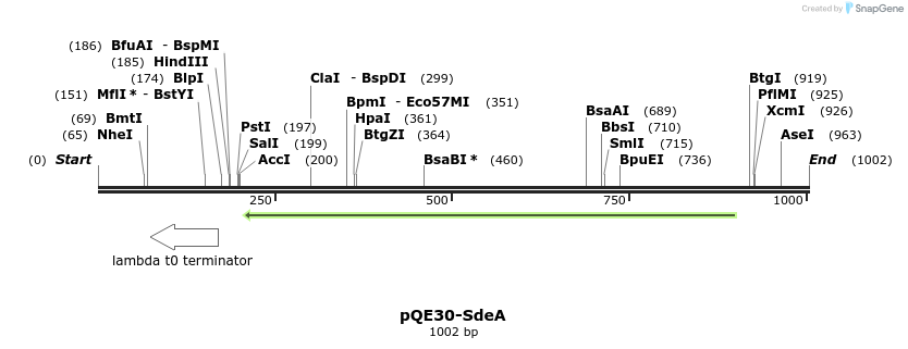 156603_map
