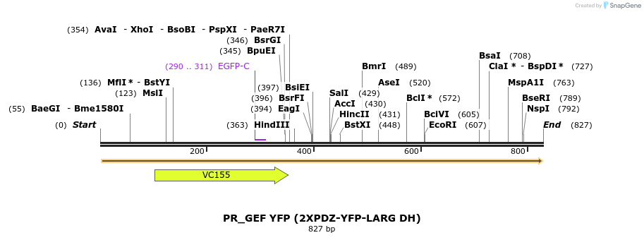 156610_map