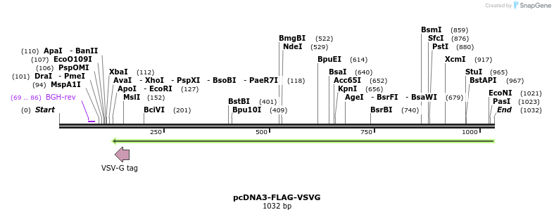 156612_map